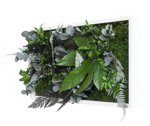 Pflanzenbild im Dschungeldesign 57x27 Seite